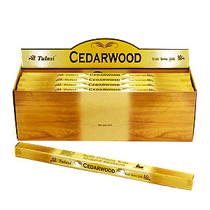 Cedar (Sarathi)